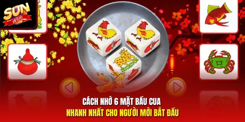 Cách nhớ 6 mặt bầu cua nhanh nhất cho người mới bắt đầu